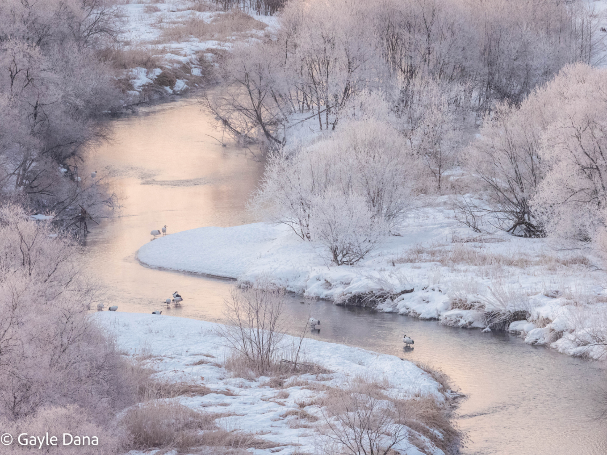 Cranes in landscape from above bridge